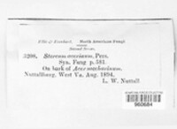 Image Associated With the Occurence